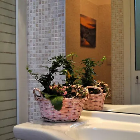 Elly's Terrace Apartment Viareggio